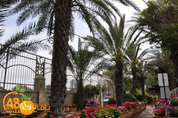 masjed 7san bekaj (15).JPG